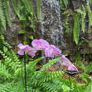 Meet your Posher, Jeania